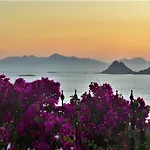 Sunset Mavi تورغوتْريس