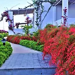 بيت للعطل Sunset Mavi تورغوتْريس