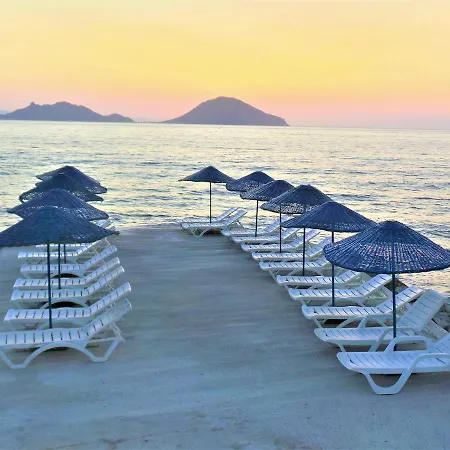 Sunset Mavi *