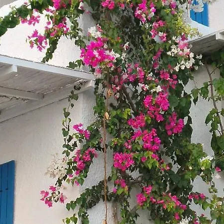 Tatil Evi Sunset Mavi *