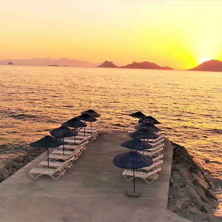 Sunset Mavi