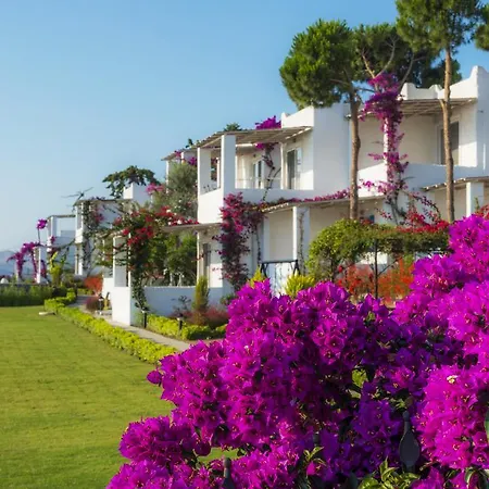 Sunset Mavi Tatil Evi Turgutreis