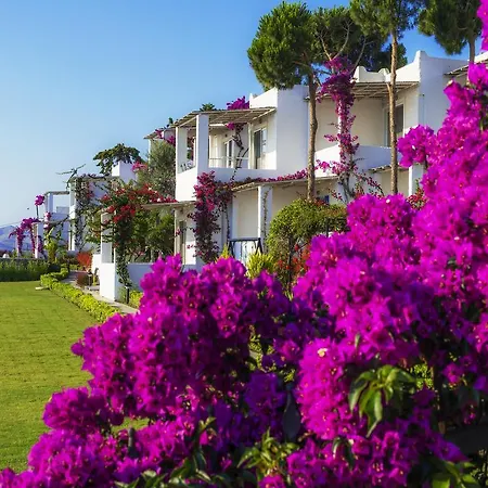 Tatil Evi Sunset Mavi Turgutreis