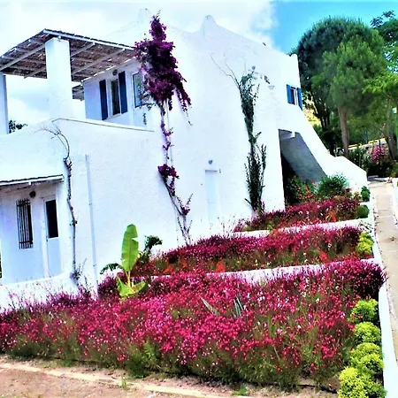 Tatil Evi Sunset Mavi *