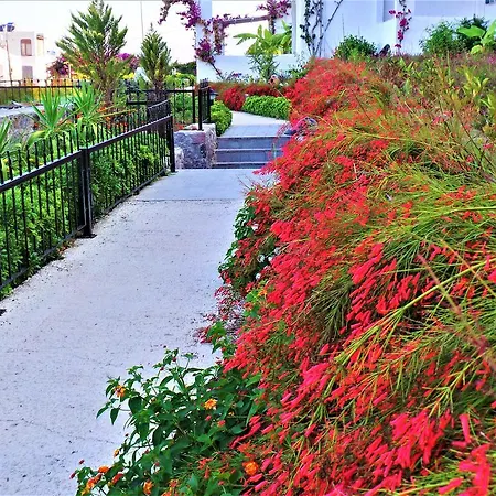 Sunset Mavi Сasa de vacaciones