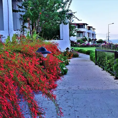 Tatil Evi Sunset Mavi Turgutreis