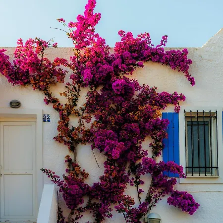Tatil Evi Sunset Mavi Turgutreis