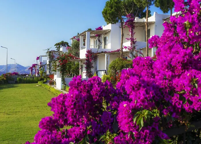 Case de vacanță Sunset Mavi Turgutreis