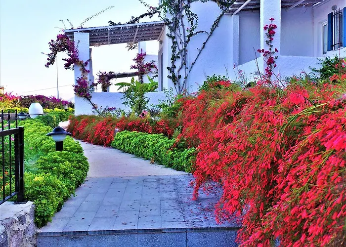 Case de vacanță Sunset Mavi Turgutreis