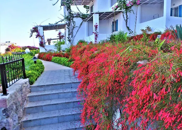 Sunset Mavi Case de vacanță Turgutreis