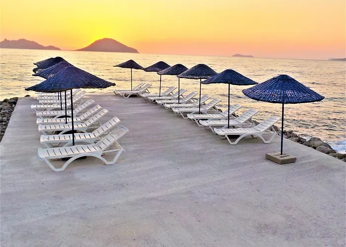 Sunset Mavi