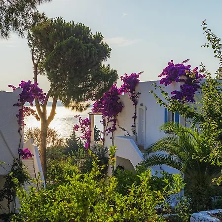 Case de vacanță Sunset Mavi *