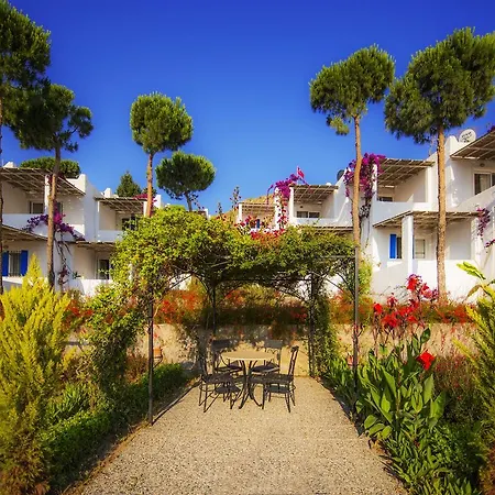 Sunset Mavi Case de vacanță Turgutreis