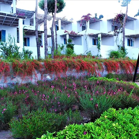 Sunset Mavi Case de vacanță Turgutreis