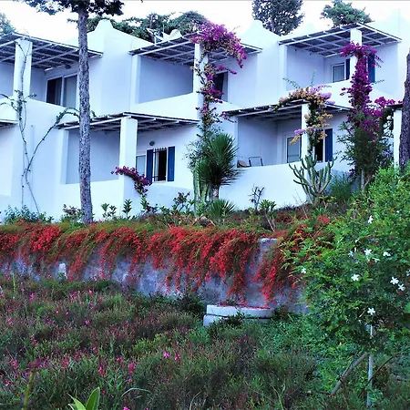 Sunset Mavi * Turgutreis